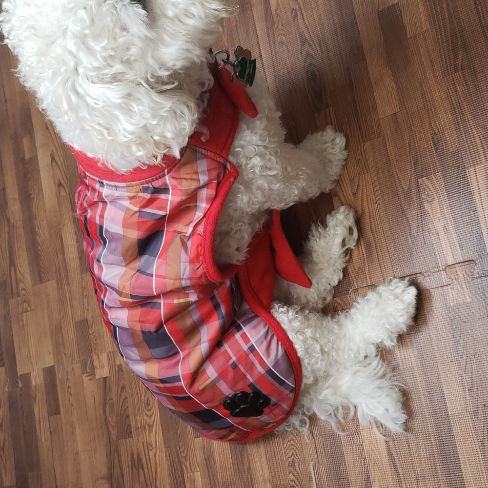 Bailey & Bella doggy Coat size S/M - Picture 5 of 13